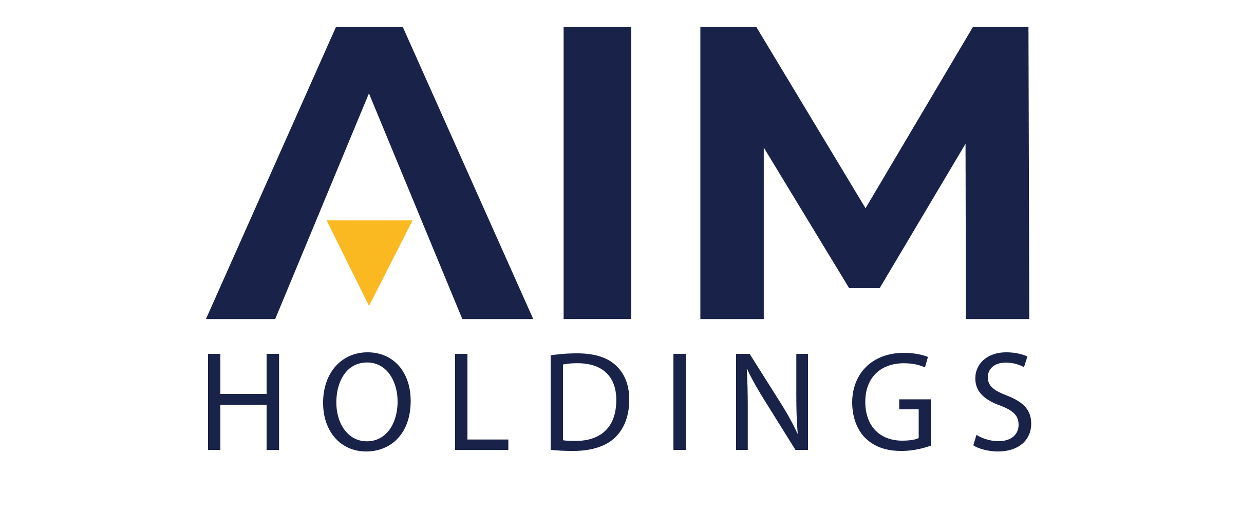 AIM HOLDINGS Logo